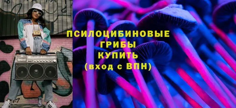 Псилоцибиновые грибы прущие грибы  Кириллов 